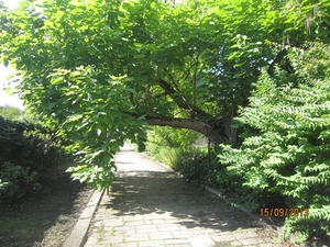 wandeling in Deinze 15-09-2013 070