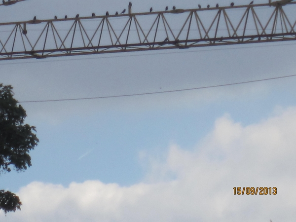 wandeling in Deinze 15-09-2013 082