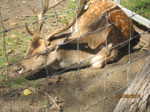 wandeling in Deinze 15-09-2013 096