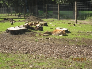 wandeling in Deinze 15-09-2013 097