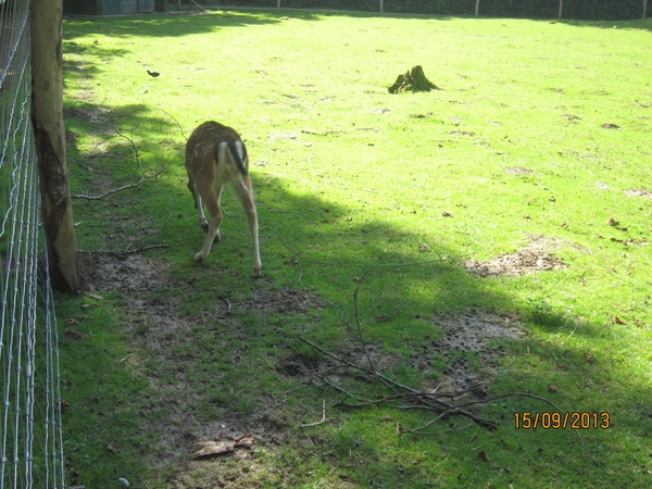 wandeling in Deinze 15-09-2013 104