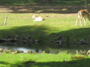 wandeling in Deinze 15-09-2013 105