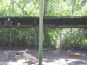 wandeling in Deinze 15-09-2013 106