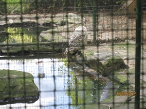 wandeling in Deinze 15-09-2013 111