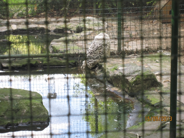wandeling in Deinze 15-09-2013 111
