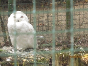 wandeling in Deinze 15-09-2013 113