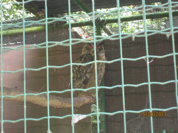 wandeling in Deinze 15-09-2013 115