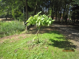 wandeling in Deinze 15-09-2013 118