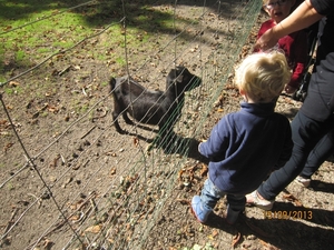 wandeling in Deinze 15-09-2013 122