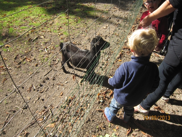 wandeling in Deinze 15-09-2013 122