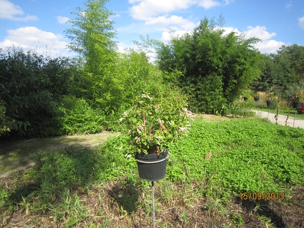 wandeling in Deinze 15-09-2013 129