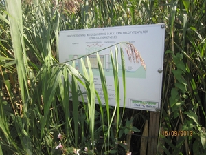 wandeling in Deinze 15-09-2013 134