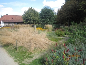 wandeling in Deinze 15-09-2013 135