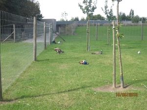 wandeling in Deinze 15-09-2013 146