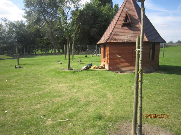 wandeling in Deinze 15-09-2013 148