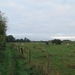 2013-09-15 Deinze 003