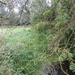 2013-09-15 Deinze 007