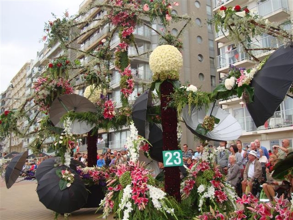 DSC07656 (Small)