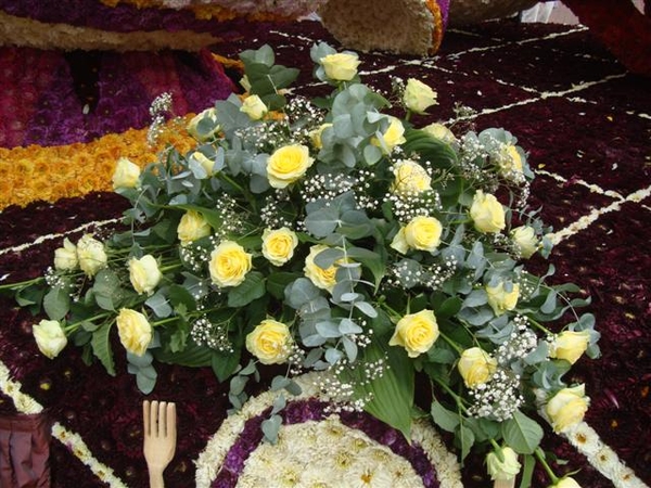 DSC07714 (Small)