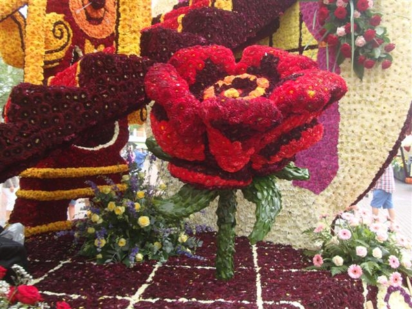 DSC07715 (Small)