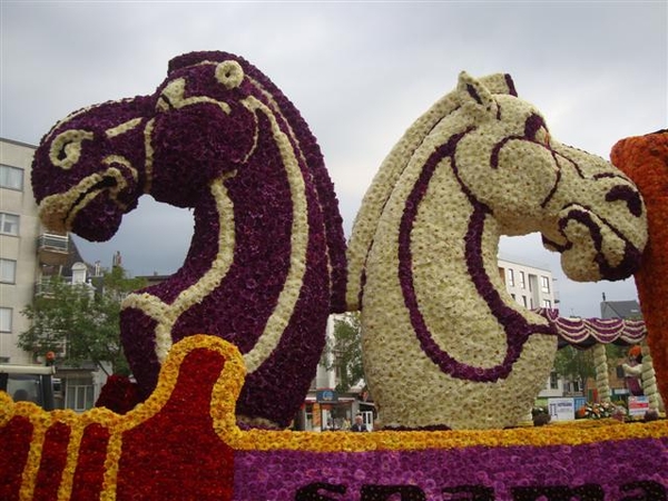DSC07719 (Small)