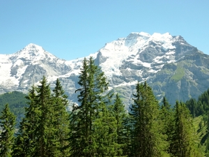 Jungfrau
