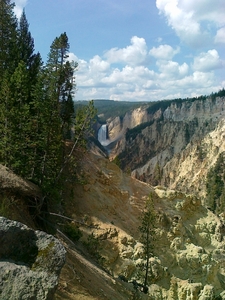 Canyon met waterval in Yellowstone
