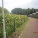wandelen in Burcht 22-9-2013 010