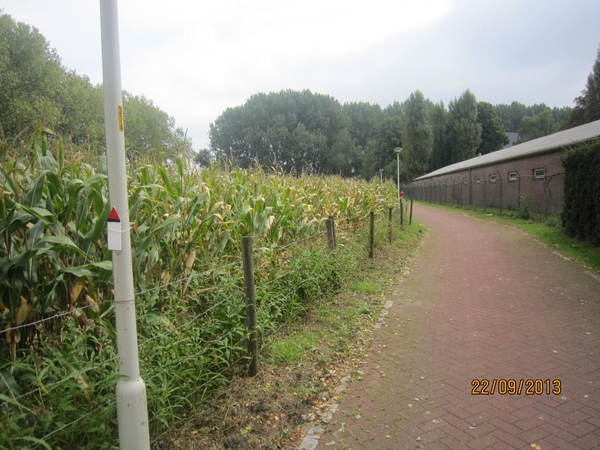 wandelen in Burcht 22-9-2013 010
