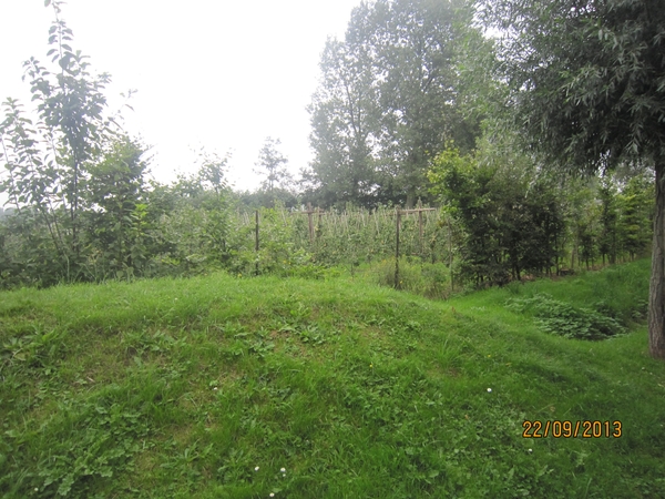 wandelen in Burcht 22-9-2013 020