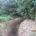 wandelen in Burcht 22-9-2013 021