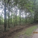 wandelen in Burcht 22-9-2013 023