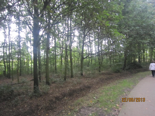 wandelen in Burcht 22-9-2013 023