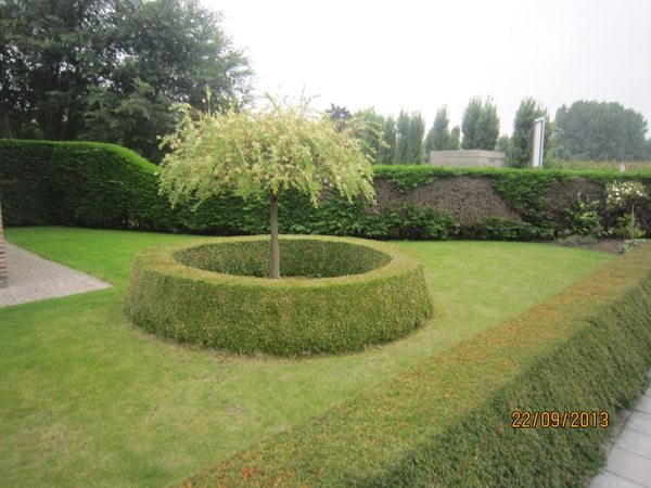 wandelen in Burcht 22-9-2013 032