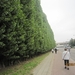 wandelen in Burcht 22-9-2013 033
