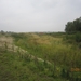wandelen in Burcht 22-9-2013 039