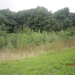 wandelen in Burcht 22-9-2013 050