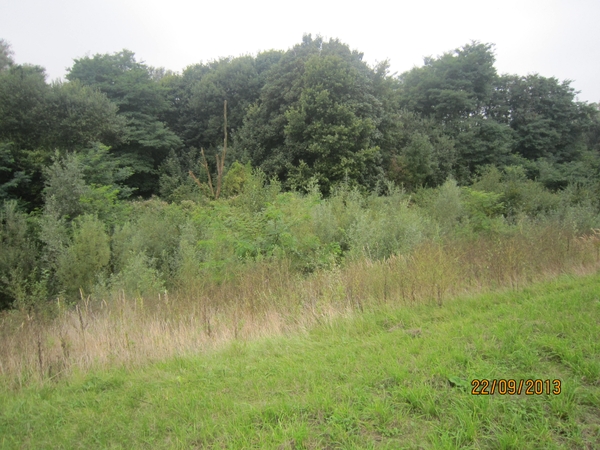 wandelen in Burcht 22-9-2013 050