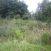 wandelen in Burcht 22-9-2013 051