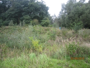 wandelen in Burcht 22-9-2013 051