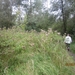 wandelen in Burcht 22-9-2013 052