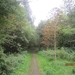 wandelen in Burcht 22-9-2013 053