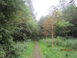 wandelen in Burcht 22-9-2013 053