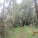 wandelen in Burcht 22-9-2013 055