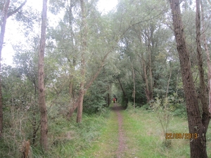 wandelen in Burcht 22-9-2013 055