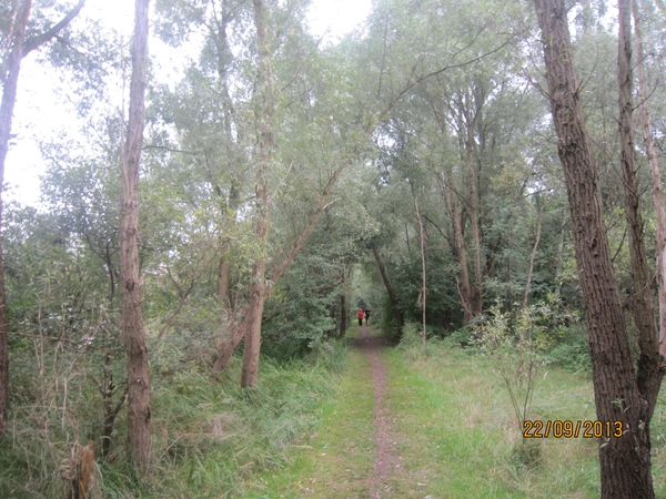 wandelen in Burcht 22-9-2013 055