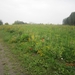 wandelen in Burcht 22-9-2013 090