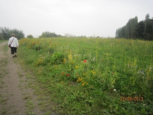 wandelen in Burcht 22-9-2013 090