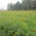wandelen in Burcht 22-9-2013 092