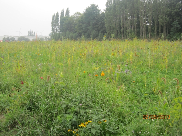 wandelen in Burcht 22-9-2013 092